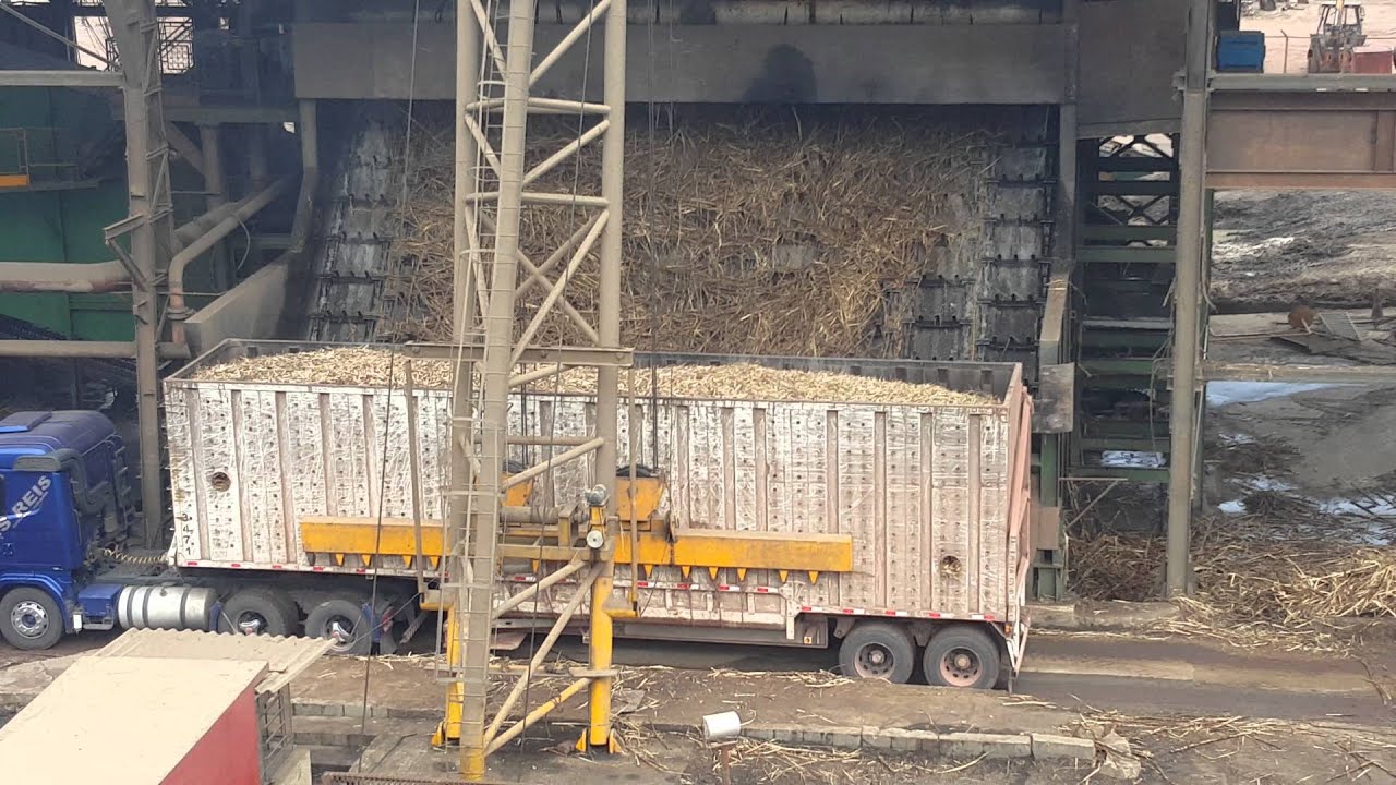 Mesa alimentadora de cana . COAGRO