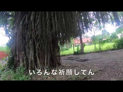 【アフリカ・タンザニア・スワヒリ語】近所を歩こう！