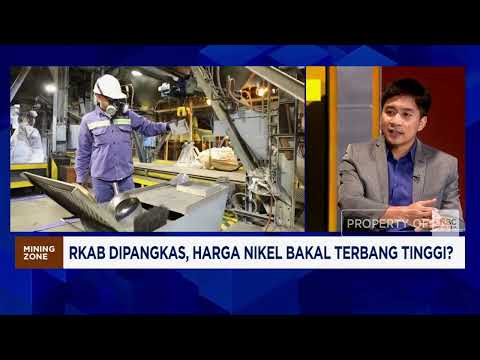Smelter Bisa Kekurangan 90 Juta Ton Bijih Nikel Jika Kuota RKAB 2026 Dipangkas 30%