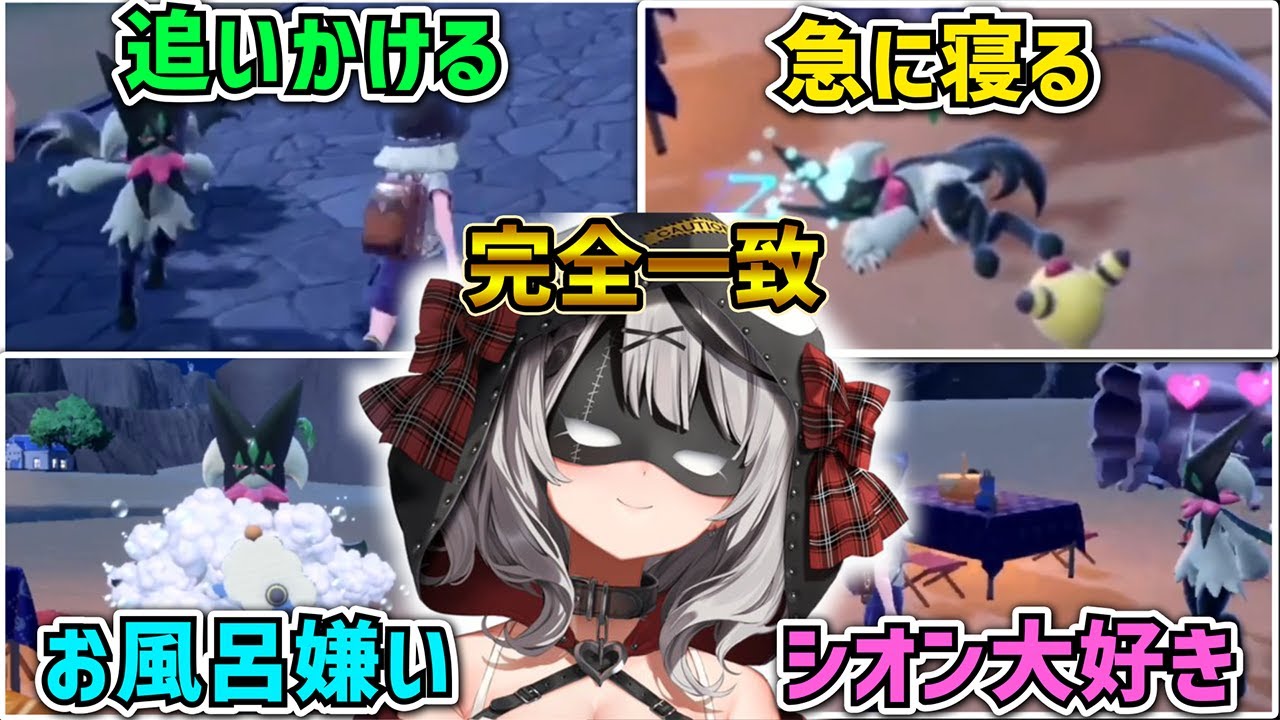 【ポケモンSV】最終進化した姿が仮面を付けた沙花叉似てると噂のニャオハがシオンと行動を共にしたら完全に沙花叉本人にしか見えなくなってしまうw【ホロライブ切り抜き 紫咲シオン 沙花叉クロヱ】