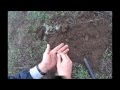 Russian metal detecting. Copper coin 19th cent