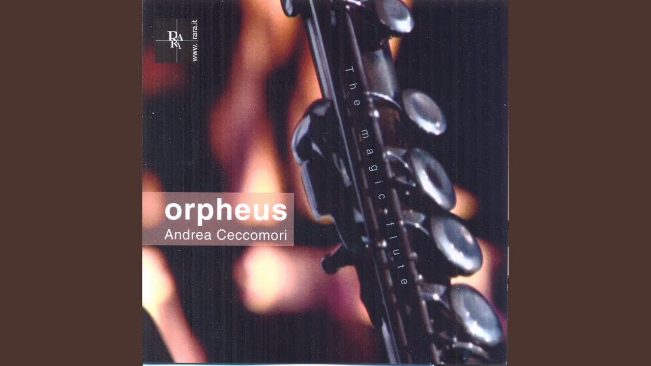 Watch Holograms on YouTube Watch Holograms on YouTube