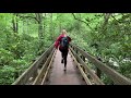 Mt LeConte via Alum Cave Bluffs Trail Hiking Guide in the Great Smoky Mountains NP