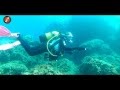 Buceo la Herradura   Inmersion con Pez Ballesta