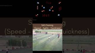 SAQ Training(Speed – Agility – Quickness) #football #motivation #شعب_الصيني_ماله_حل #messi #cricket