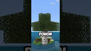 Bisakah Kamu Bertahan di SEED Pulau Terpencil di Minecraft? #minecraft