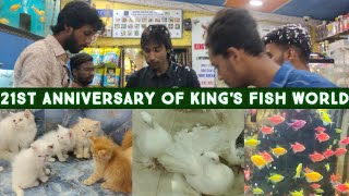 21st anniversary of king's fish world hyderabad | offer on all items with Persian kittens & fishes