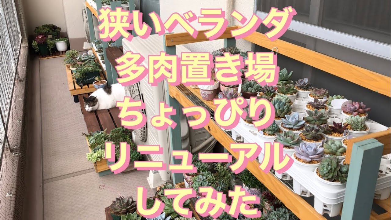 狭いベランダの多肉の置き場所ちょっぴりリニューアルしてみた - YouTube