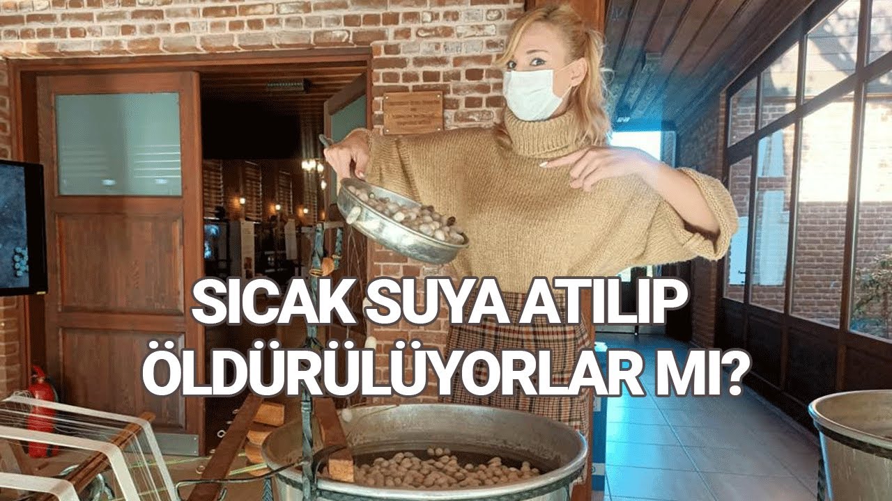 Bursa ipeğinin büyülü yolculuğu! İpek böcekleri sıcak suya atılıyor mu?