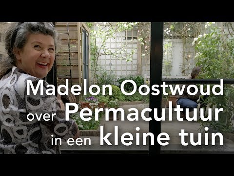 Video: Waar Om Aansoek Te Doen In Die Tuin