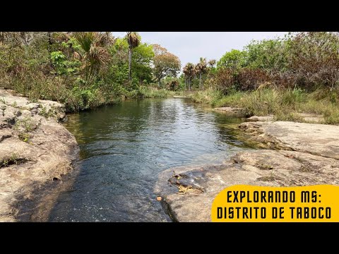 Descubra um rio de água cristalina e cachoeiras exuberantes em Corguinho MS