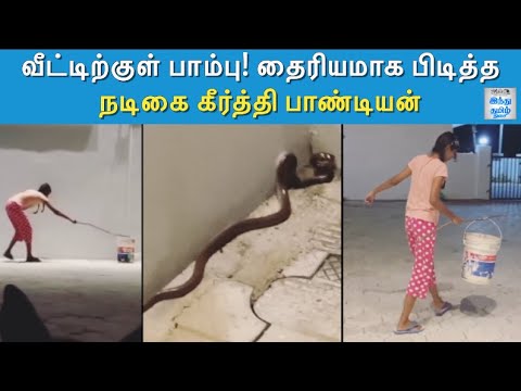 Young Tamil Actress Keerthi Pandian's Daring Act | Keerthi Pandian Viral Video | Hindu Tamil Thisai