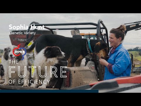 Sophia Hunt, High Genetic Merit & Dairy Beef Capabilities | Samen NZ