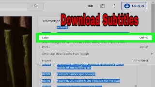 How to Download YouTube Video Subtitles - how to download subtitles from youtube video screenshot 4