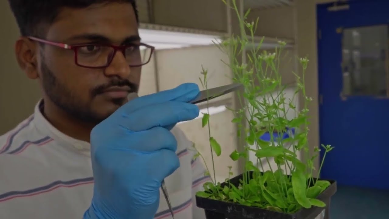 What happens in CCMB's Plant Epigenetics Lab? 