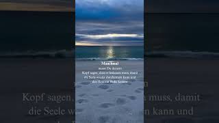 #gefühle #sprücheundzitate #weisheit #zitate #sprüche #gedanken #