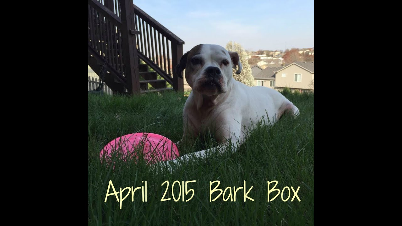 April 2015 Bark Box Unboxing