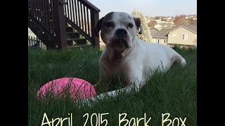 April 2015 Bark Box Unboxing