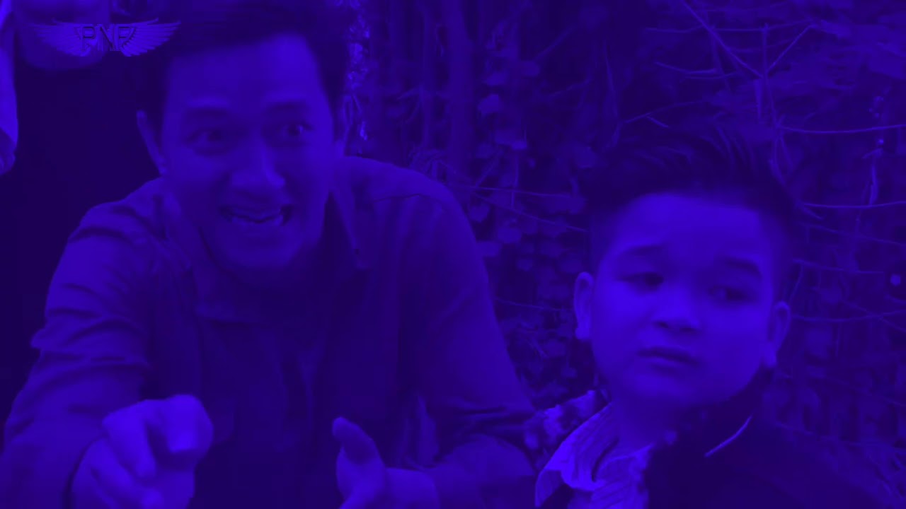 The Take Down - DJ Williams 