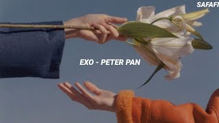 EXO 엑소 'Peter Pan' Easy Lyrics