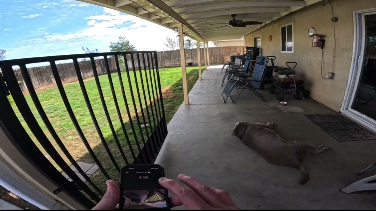 My pontoon boat project