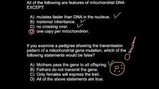 Mitochondrial dna inheritance