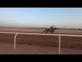 20230224 ラウダシオン サウジアラビア遠征調教動画(キングアブドゥルアジーズ競馬場)