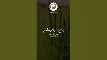 foryou #foryoupage #fyp# خالد_جلیل #سورة_يوسف #قران#