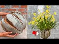 Cách làm chậu hoa trồng lan bằng quả dừa khô | Take care of orchids