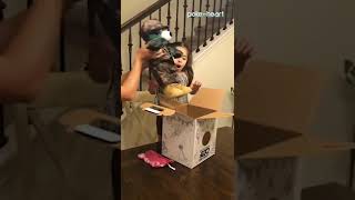 Girl Receives Teddy Bear With Deployed Dad's Voice | Shorts
