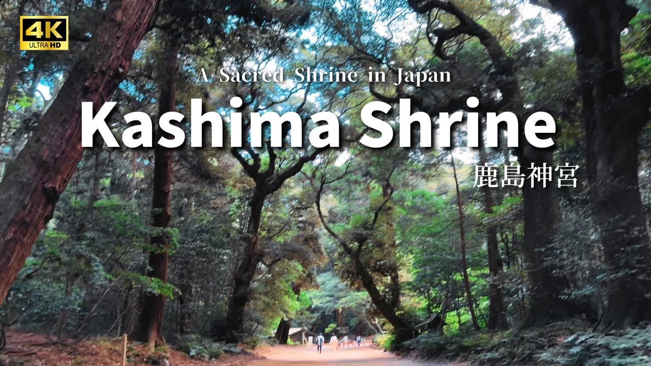 【4K HDR JAPAN TRAVEL】鹿島神宮参拝｜Kashima Shrine VLOG in Japan