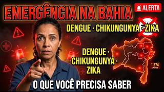 Alagoinhas em Emergência Dengue, Chikungunya e Zika Explodem na Bahia — O Que Você Precisa Saber
