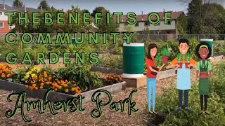The Benefits of Community Gardens Featuring Amherst Park
