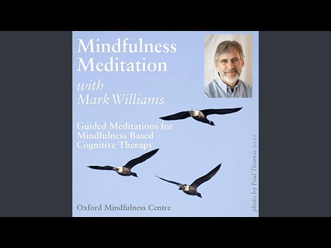 20 Min Sitting Meditation