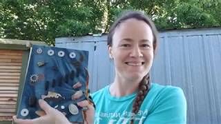 Backyard Science- Make Your Own Nature Journal!