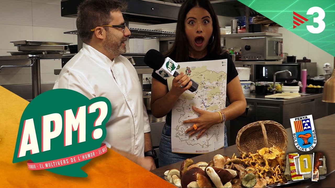 CATALUNYA ON FALLA: Buscant bolets a Berga 🍄