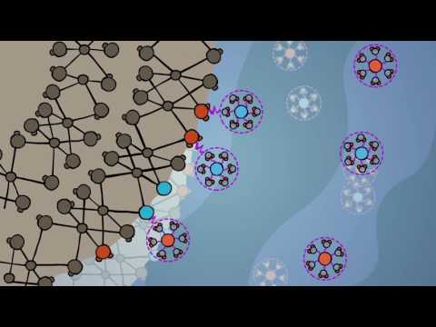 Sorption: A Close-Up View
