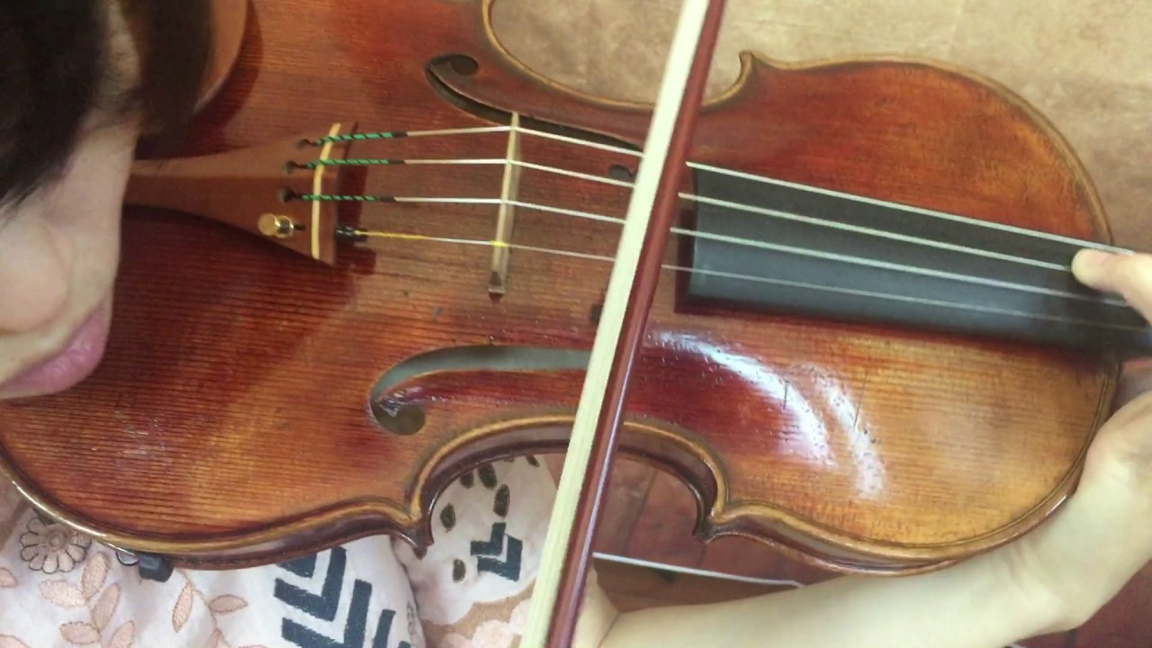 Guarneri del Gesù 1743 