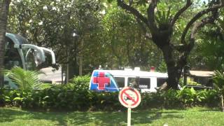 Australian Cricket Team Bus, Cricket World Cup 2011 screenshot 1