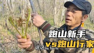 山里冷得下霜了，野菜冻死一大片；采刺老芽这活太危险！今年没收黄瓜香，家里清闲不少，刺老芽有空跑山，吃饭也精神了！