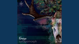 Coleoptera Sp04 Xicanab Original Mix