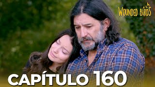 Omer Sueños Robados | Capítulo 160