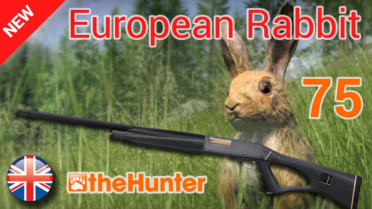 Let´s Play theHunter 2015 - 1080p/60FPS - HWP # 75 - European Rabbit - 1/2 - EN