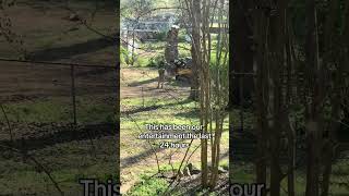 The Bigger They Are The Harder They Fall