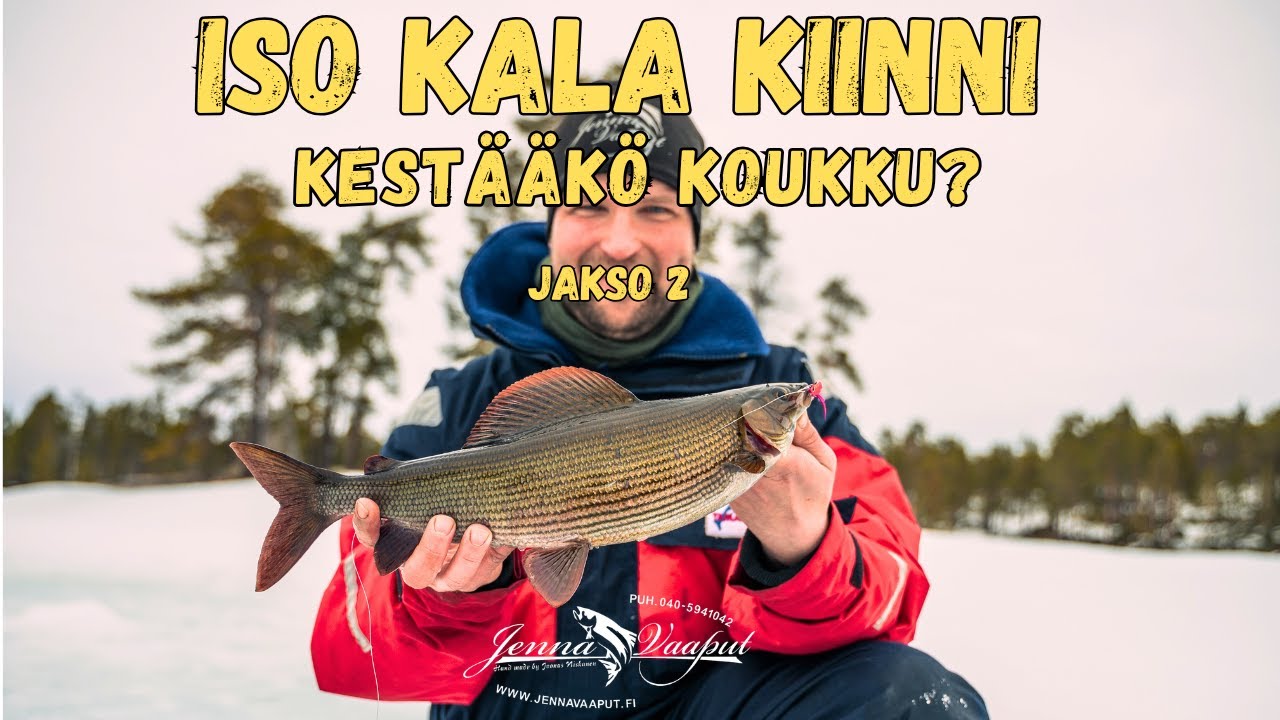 Iso kala kiinni - Kestääkö koukku?