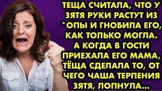 видео: Теща считала что у зятя руки растут из *опы и гнобила его как только могла. А когда в гости приехала картинка: Теща считала что у зятя руки растут из *опы и гнобила его как только могла. А когда в гости приехала