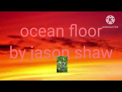 ocean floor by jason shaw