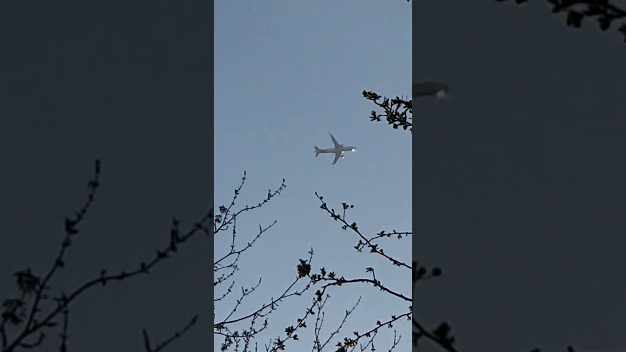 Iberia Airbus A320NEO through the trees