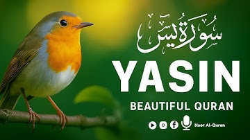 Surah Yaseen (Yasin) سورة يس | Ultimate Relaxing Quran FOR Your Heart & Soul || Noor Al-Quran