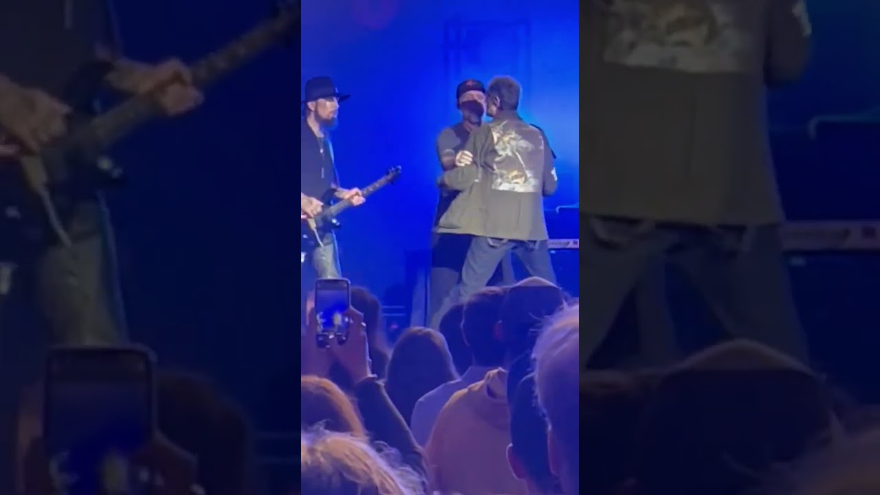 Perry Farrell FIGHTS Dave Navarro Onstage